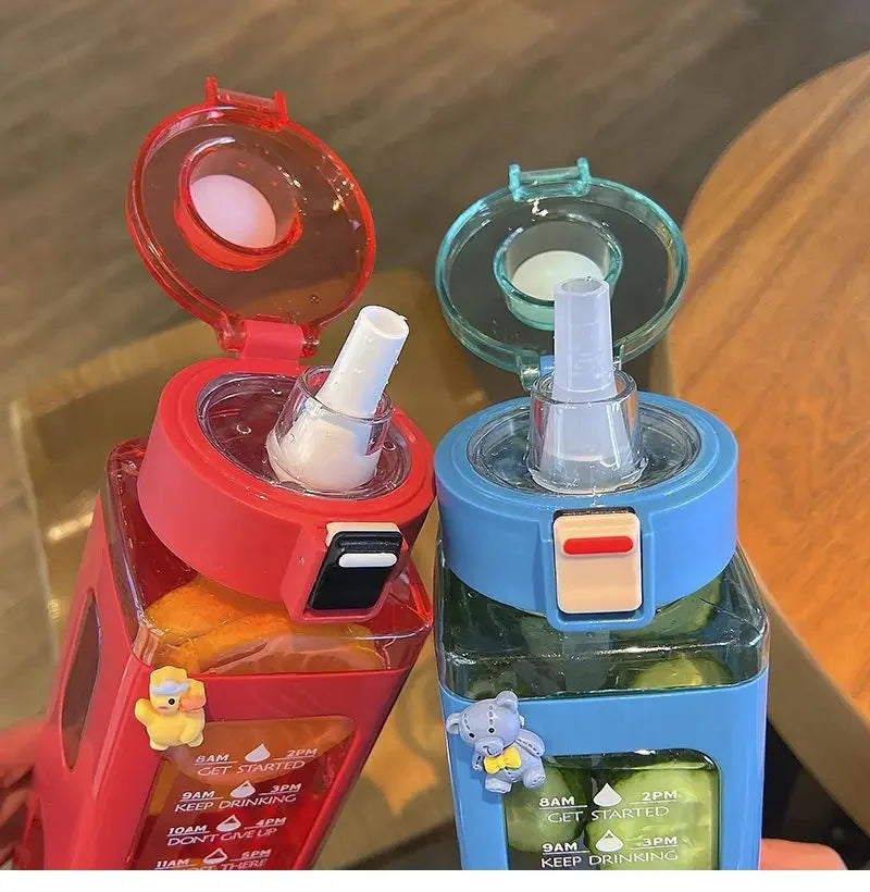 Gourde Réutilisable Éco-Responsable Quotidien & Sport – 700ml