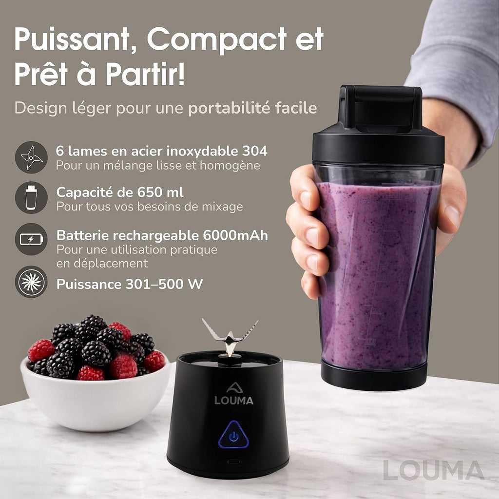 Blender Portable 650Ml  : Mixeur Smoothie USB, Sans Fil, 6 Lames